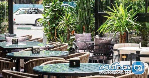 برترین کافه رستوران های نیاوران در مهر 1404: راهنمای تخصصی کشف طعم و فضای دلنشین